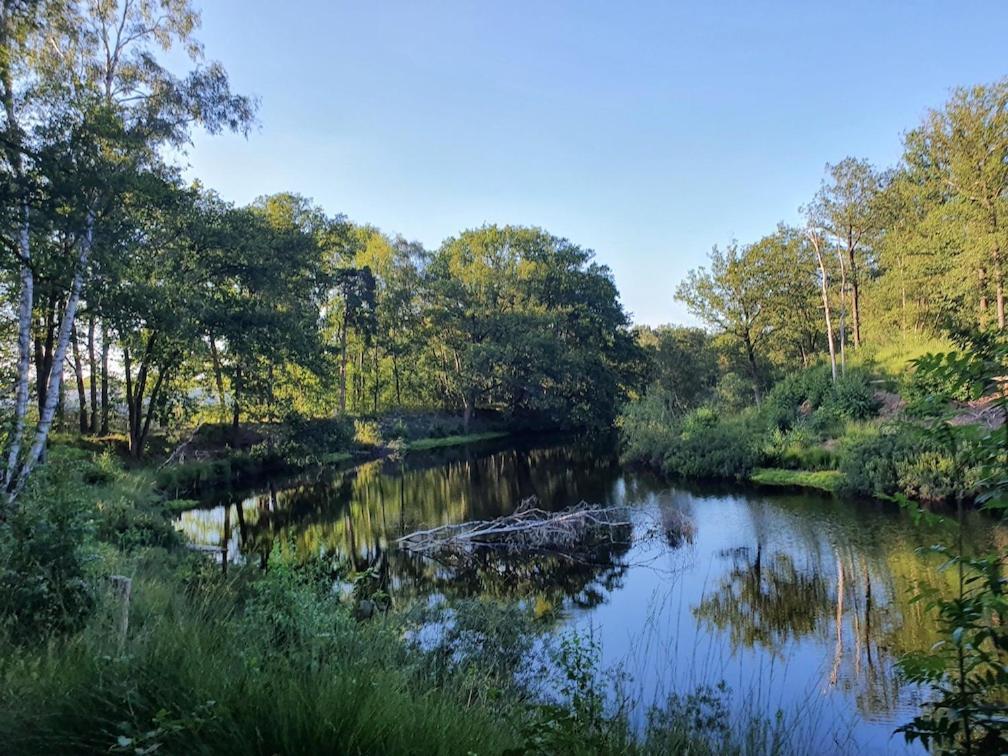 De Merel Vught Luaran gambar