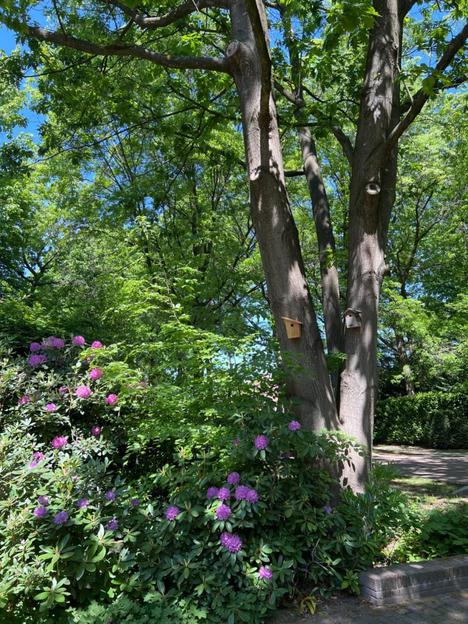 De Merel Vught Luaran gambar