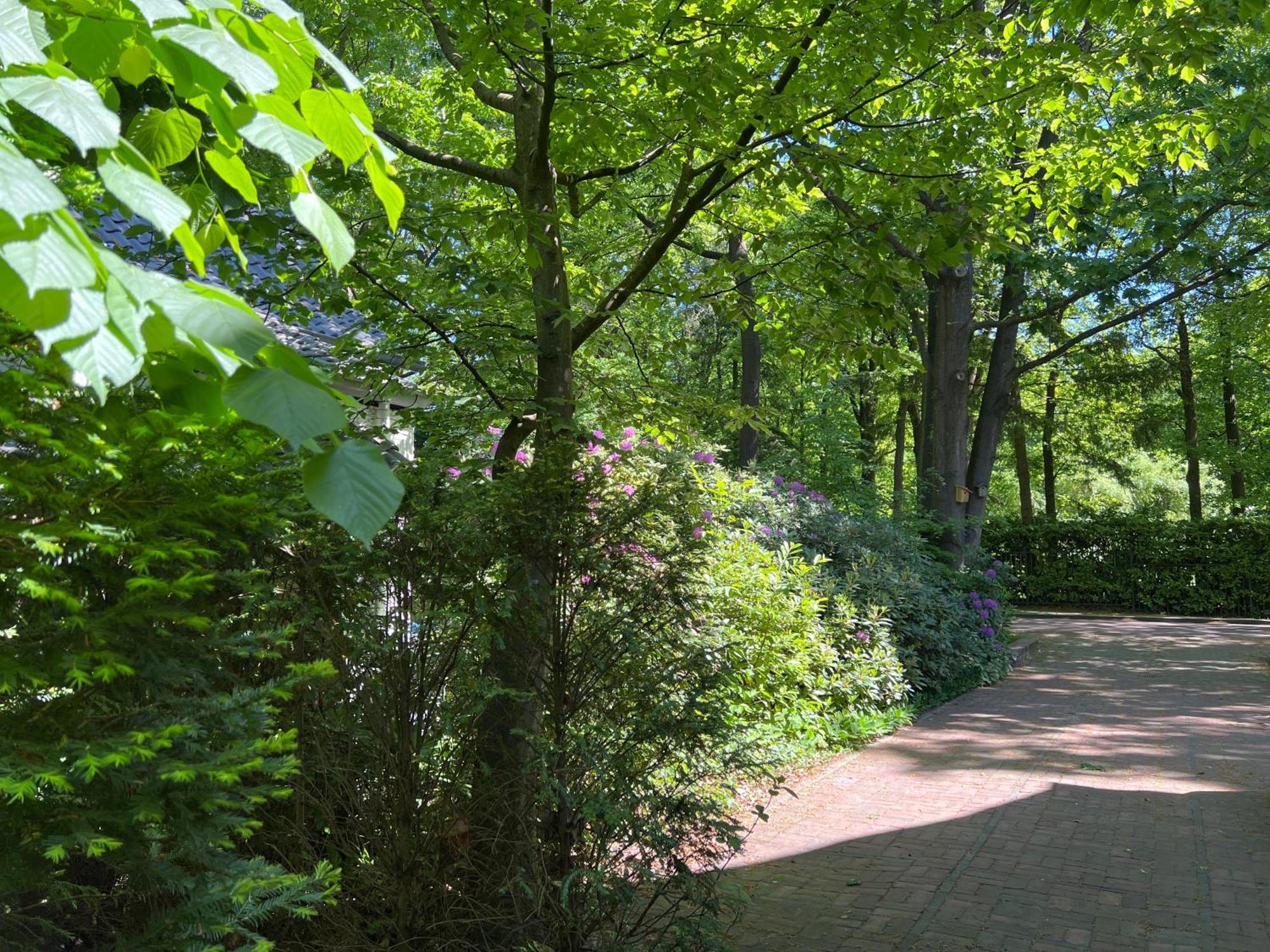 De Merel Vught Luaran gambar
